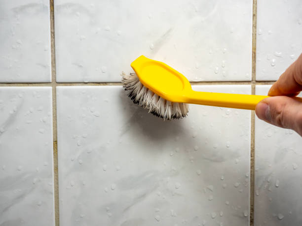 Best Water Damage Restoration  in Farley, IA
