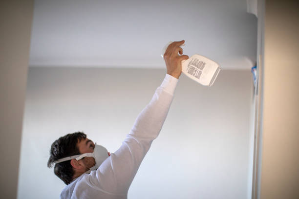 Best Local Mold Removal Service  in Farley, IA