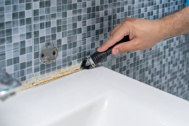 Best Residential Mold Removal  in Farley, IA